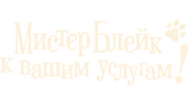 Мистер Блейк к вашим услугам
