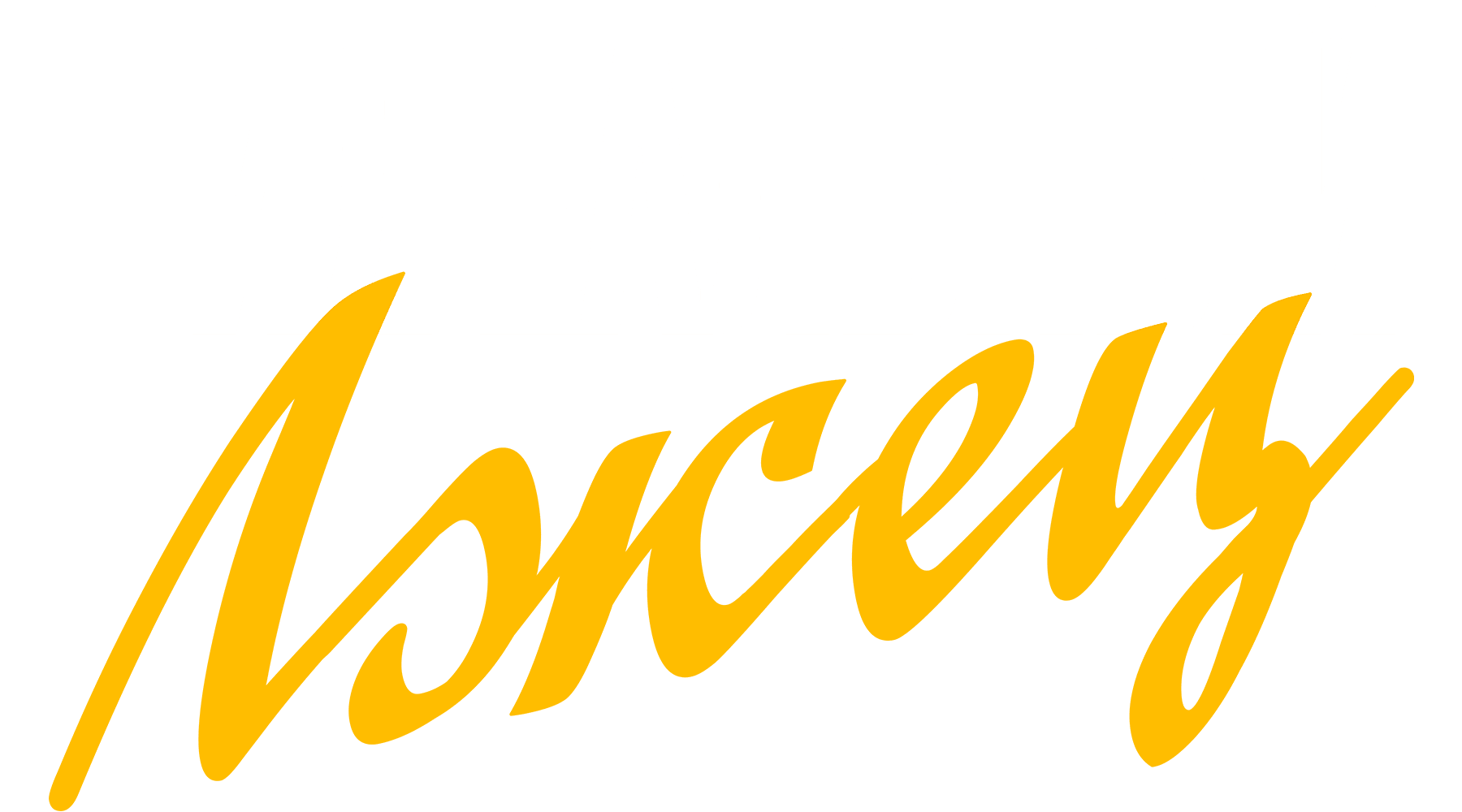 Идеальный лжец