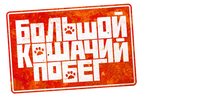 Большой кошачий побег