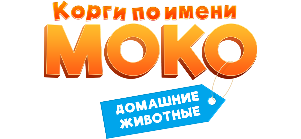 Корги по имени Моко. Домашние животные