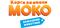 Корги по имени Моко. Домашние животные