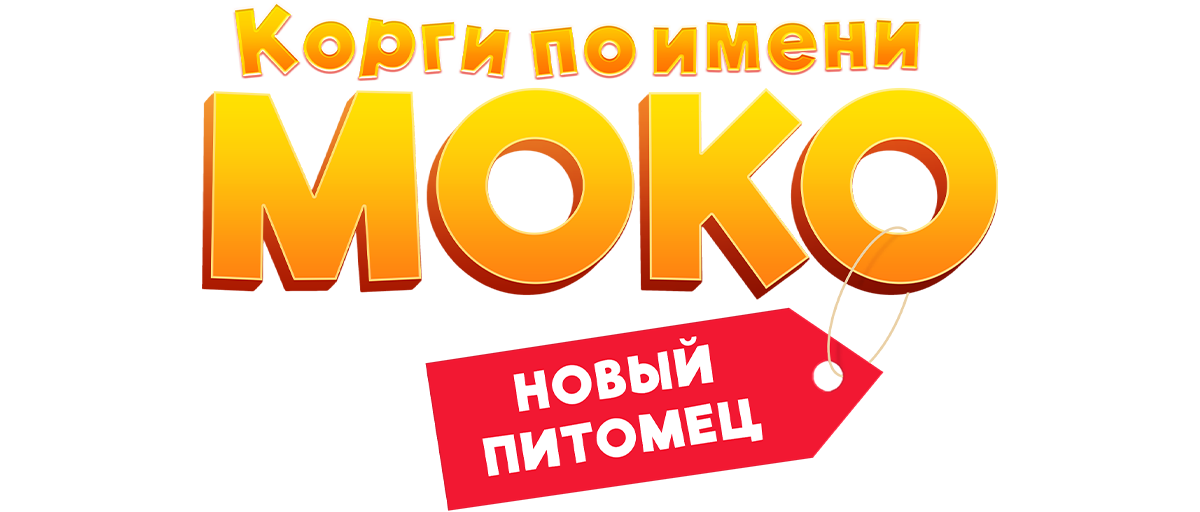 Корги по имени Моко. Новый питомец